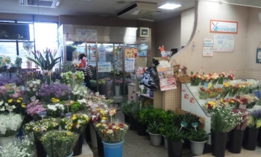 「花康」　（静岡県焼津市）の花屋店舗写真4